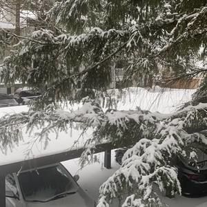 Meet your Posher, Pedro